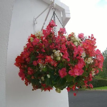 Bunratty Bed and breakfast 4*