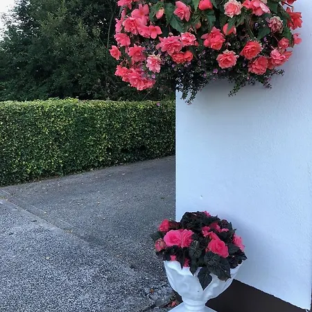 Bunratty 4*