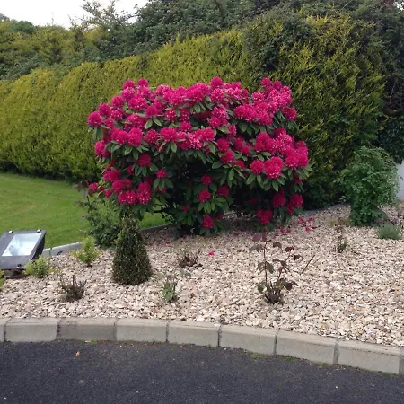 Bed and breakfast Bunratty 4*